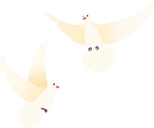 vDnkM, 车队 vDnkM, 车队